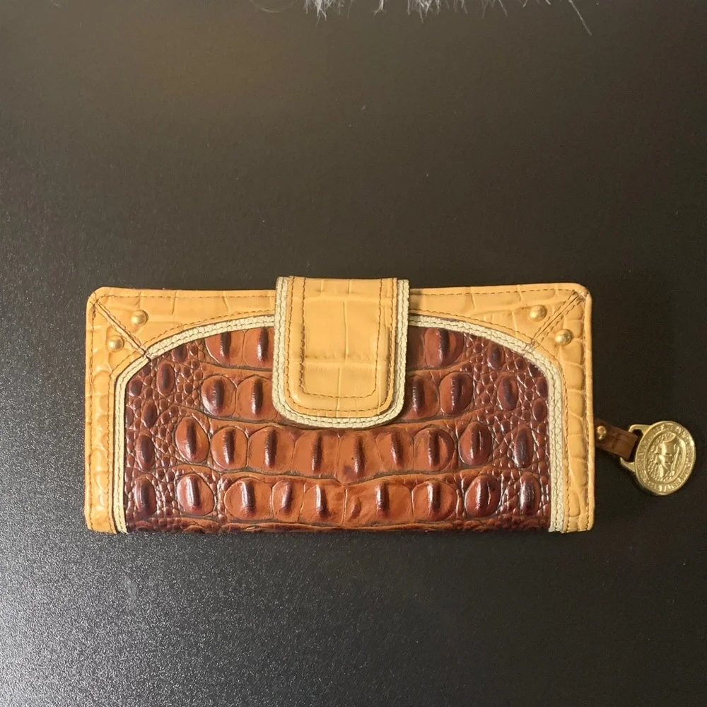 Brahmin elegant crocodile